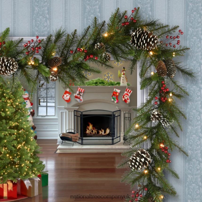 Greenery | National Tree Company Pre-Lit Artificial Christmas Garland Green Snowy Green White Lights Decorated With Pine Cones Berry Clusters Plug In Christmas Collection 6 Feet F2L4F355